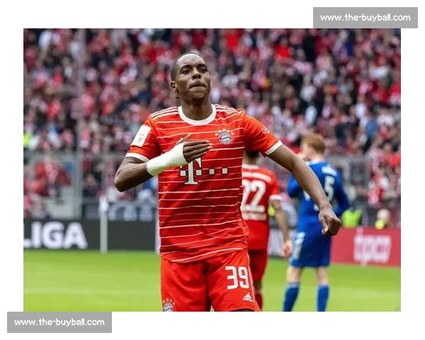 特尔 5000 万投热刺!拜仁 1.5 亿引援全军覆没净赚 2200 万 特尔 5000 万投热刺!拜仁 1.5 亿引援全军覆没净赚 2200 万